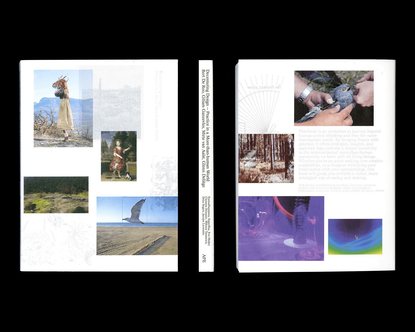 Publication Decentering Design